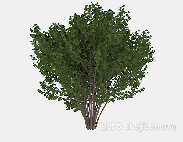 现代风格室外绿木植株3d模型下载