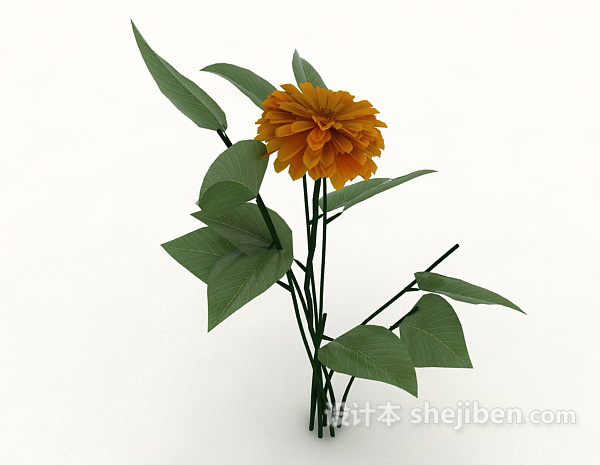 现代风格观赏绿色植物3d模型下载