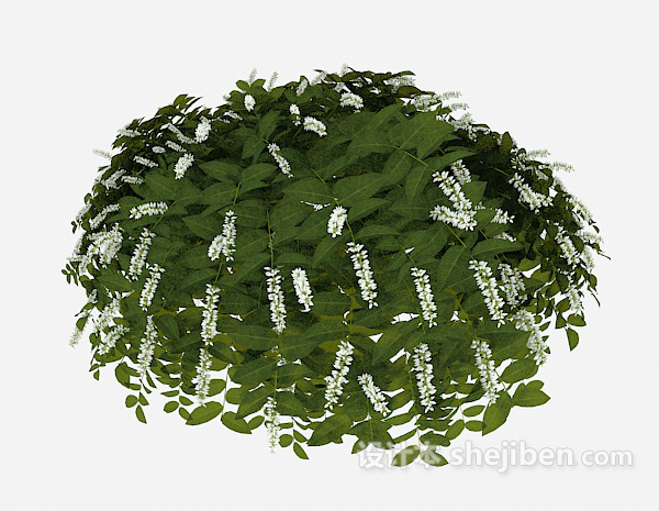 现代风格室外常见绿叶植物3d模型下载