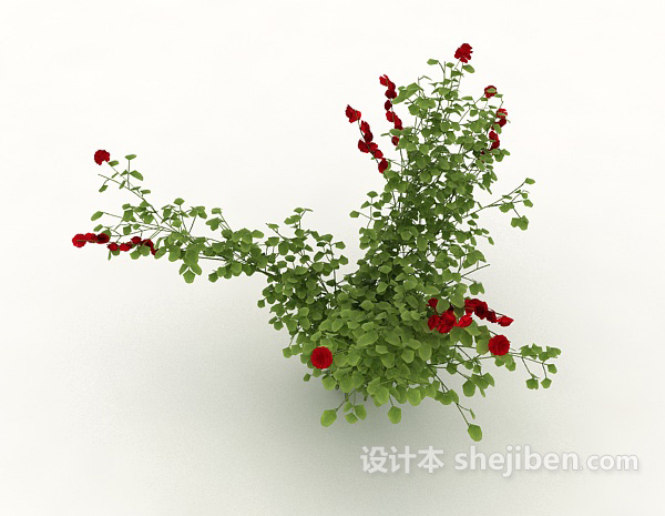 设计本野生花卉植物3d模型下载