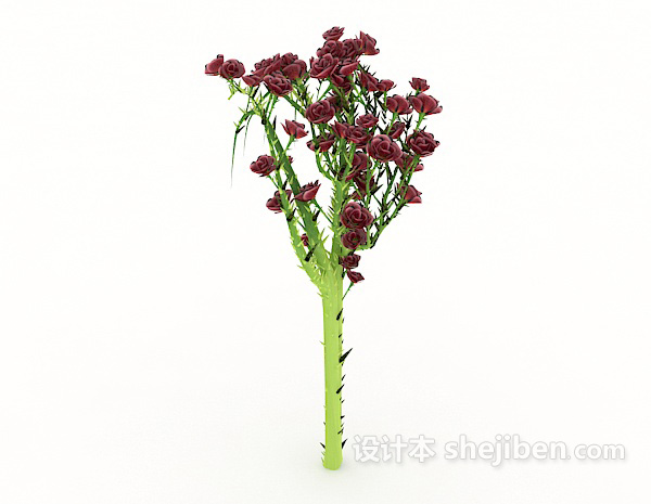 免费带刺植物3d模型下载