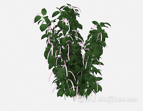现代风格特色室外植物3d模型下载