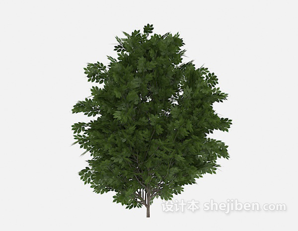 葱茏绿树3d模型下载