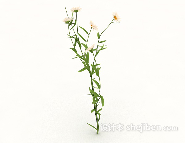 现代风格室外菊花植物3d模型下载