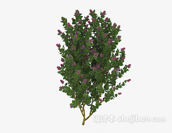 免费室外开花树木3d模型下载