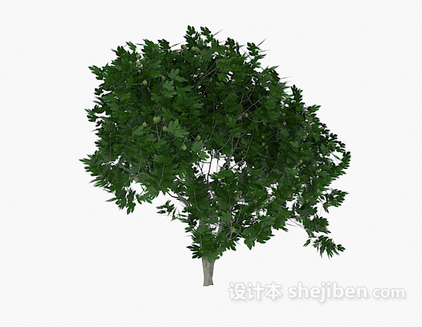 免费室外绿树植物3d模型下载
