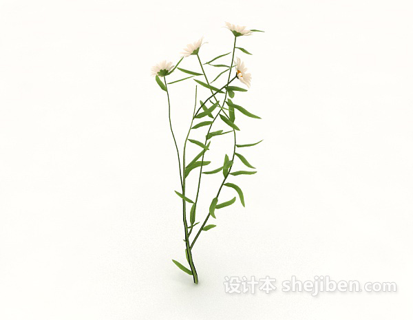 现代风格白色菊花3d模型下载
