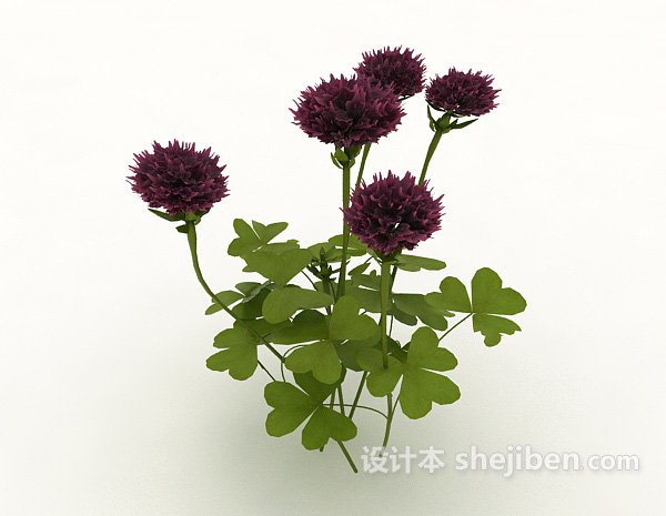 现代风格紫色室外观赏植物3d模型下载