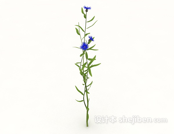 蓝色开花植物3d模型下载