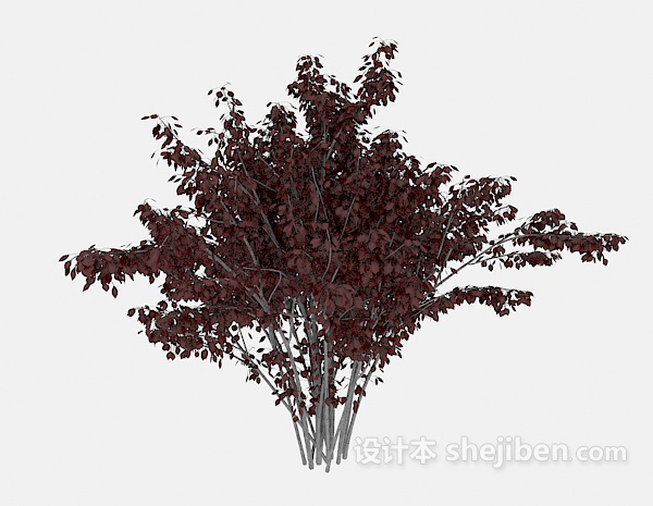 红叶树木3d模型下载