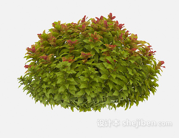 设计本绿化花坛植物3d模型下载