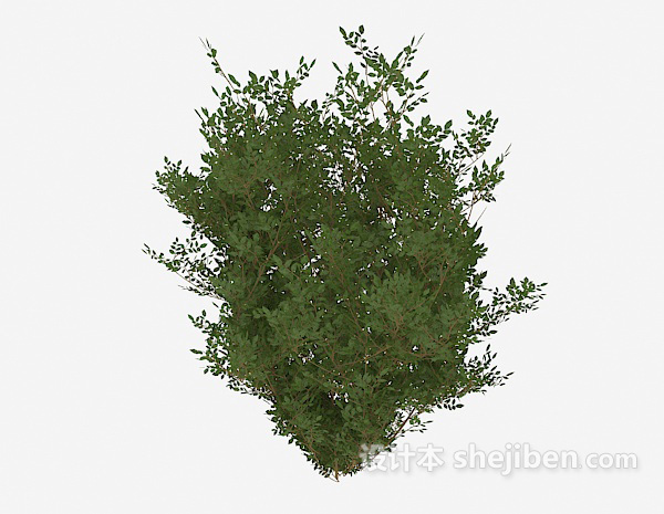 现代风格欣赏性室外植物3d模型下载