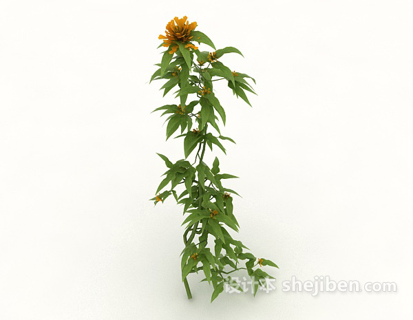 现代风格室外野生开花植物3d模型下载
