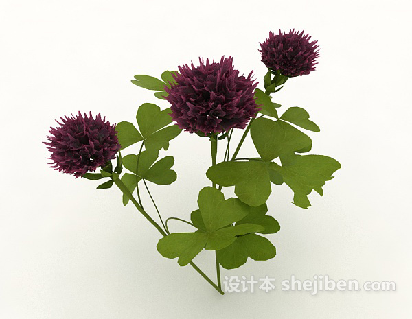 免费大朵花植物3d模型下载