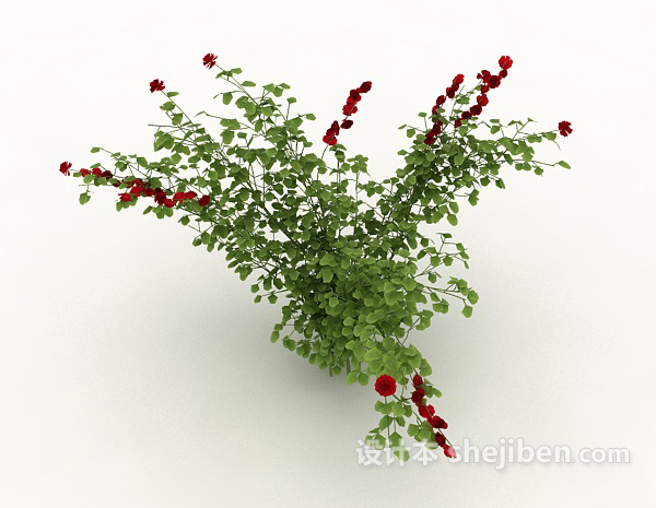 野生花卉植物3d模型下载