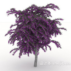 紫色室外植物3d模型下载