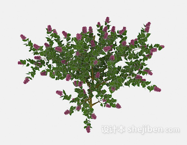 免费常见绿色花卉植物3d模型下载