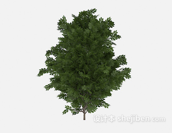 免费葱茏绿树3d模型下载
