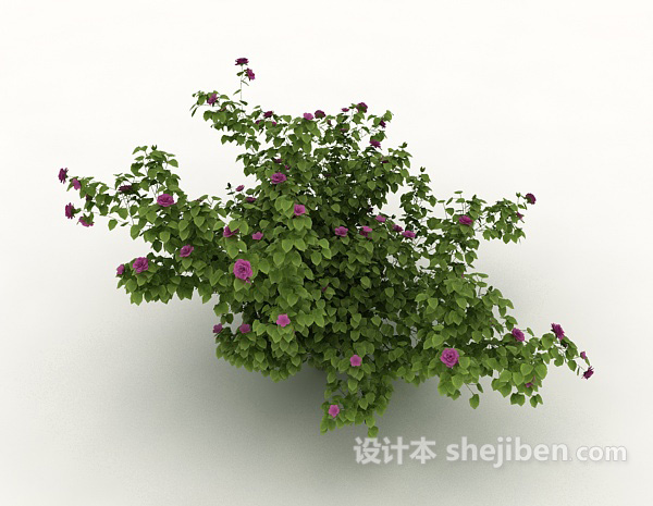 丛生绿色植物3d模型下载