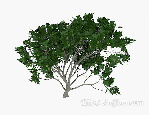 免费绿树古木3d模型下载