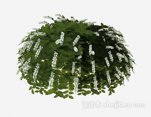 设计本室外常见绿叶植物3d模型下载