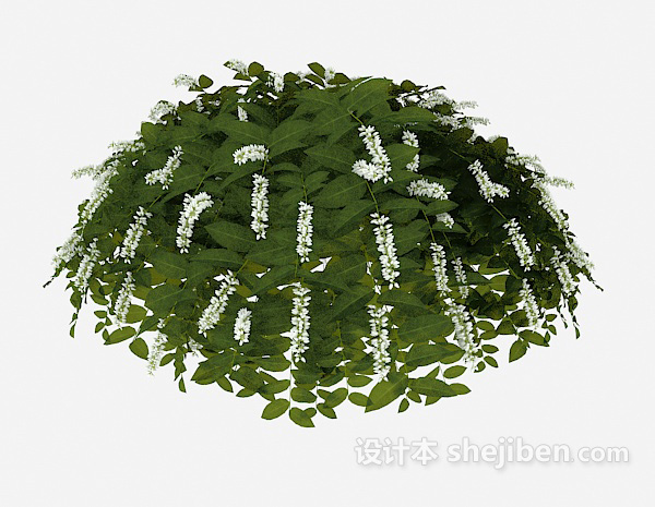 免费室外常见绿叶植物3d模型下载