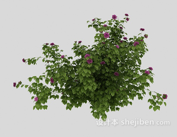 现代风格绿化带植物3d模型下载