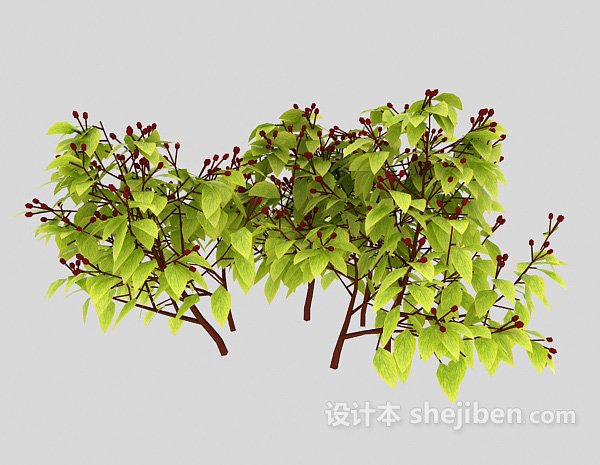 樟树树枝3d模型下载