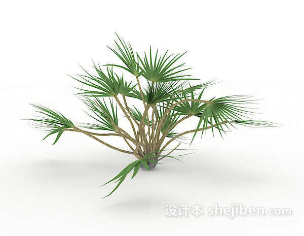 现代风格小型针叶植物3d模型下载