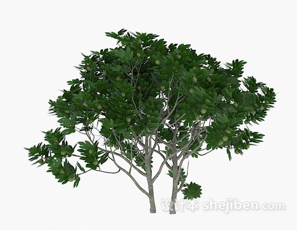 绿树古木3d模型下载