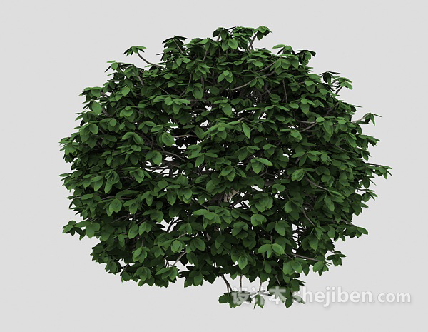 设计本绿色室外盆栽3d模型下载