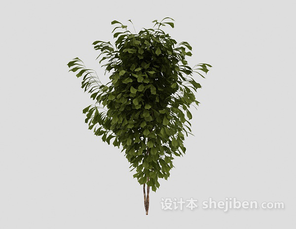 设计本常见室外绿叶植物3d模型下载