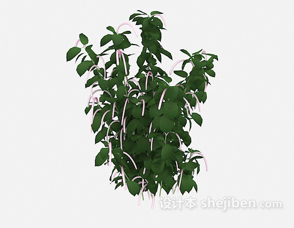 免费特色室外植物3d模型下载
