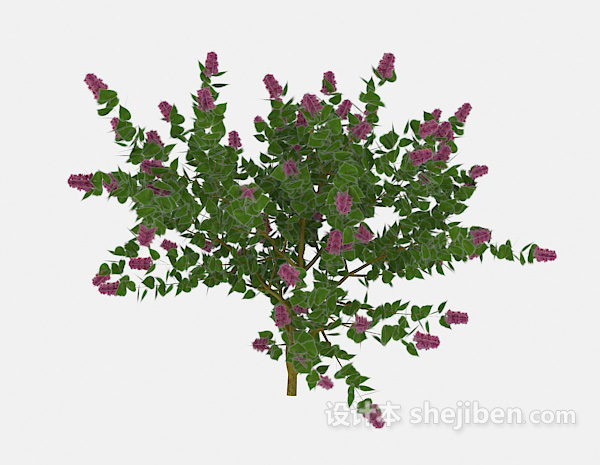 现代风格常见绿色花卉植物3d模型下载