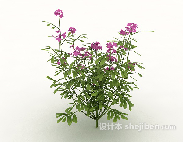 免费观赏性室外植物3d模型下载