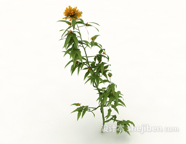 设计本室外野生植物花朵3d模型下载