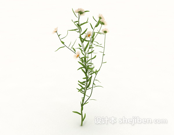 野花植物3d模型下载