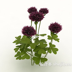 紫色室外观赏植物3d模型下载
