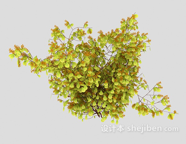 设计本常见野生型植物3d模型下载