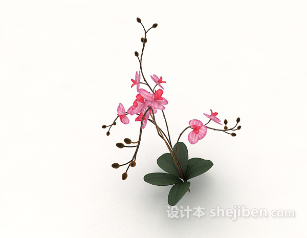 免费室内植物花束3d模型下载