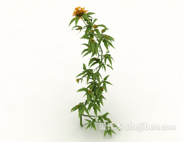 免费室外野生开花植物3d模型下载