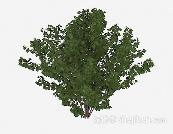 设计本室外植物绿树3d模型下载