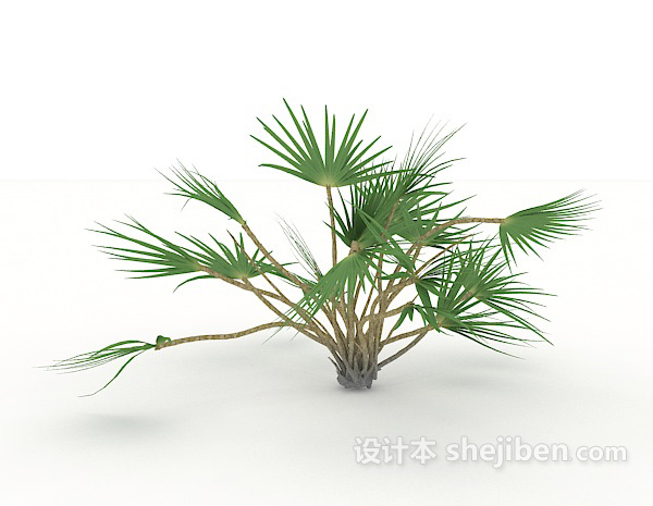 小型针叶植物3d模型下载