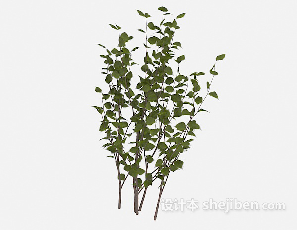 常见绿叶植物3d模型下载