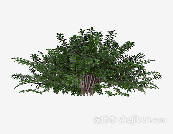 丛林树木3d模型下载