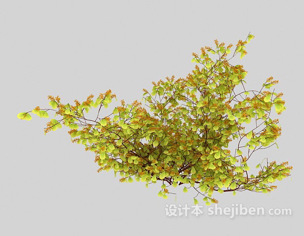 免费室外浅色特色植物3d模型下载
