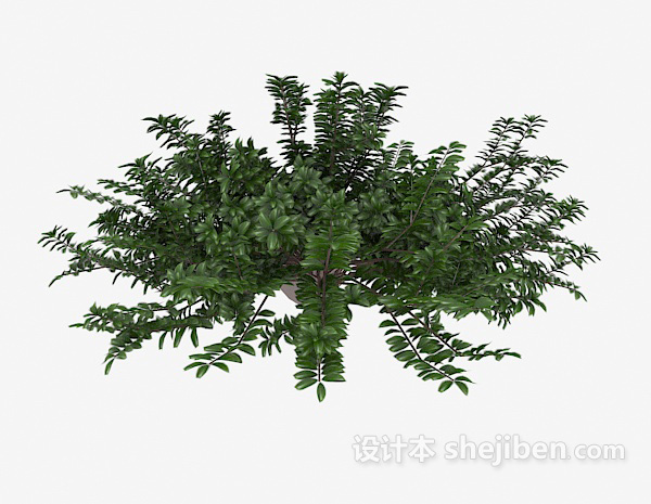 设计本丛林树木3d模型下载