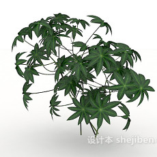 绿色菱形叶片植物3d模型下载