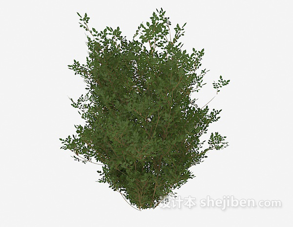 免费欣赏性室外植物3d模型下载
