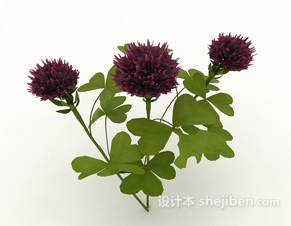 设计本大朵花植物3d模型下载